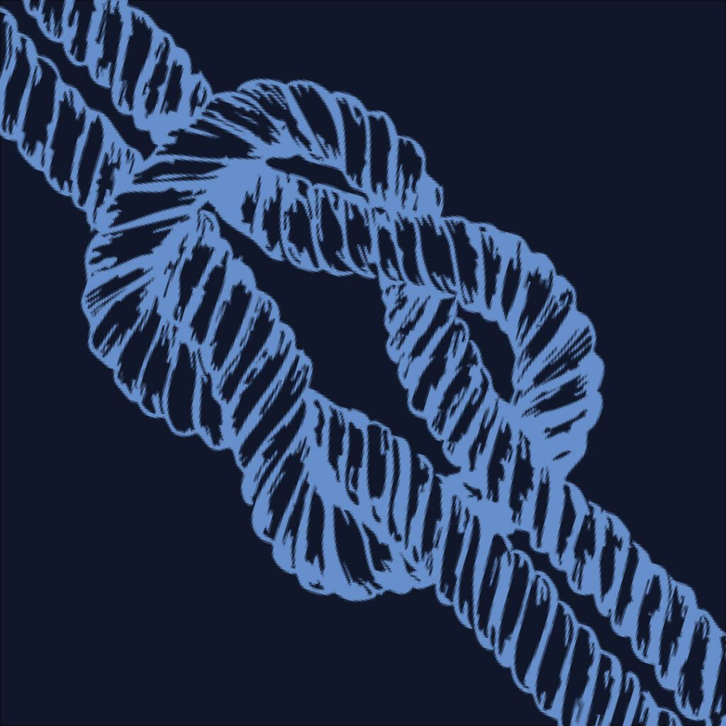 servicios agencia social media